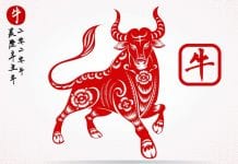 2021: YEAR OF THE METAL OX